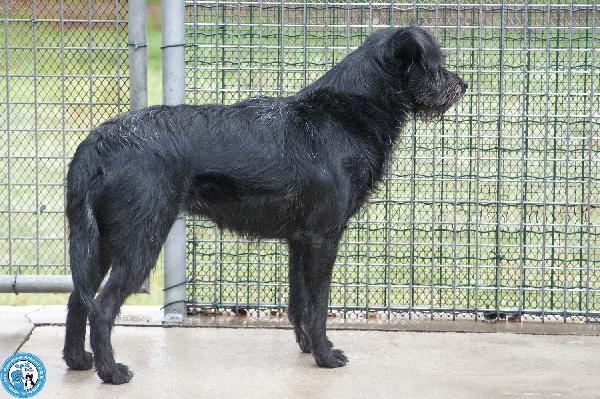 Greta, l’amore vero arriva piano.. Foto 3